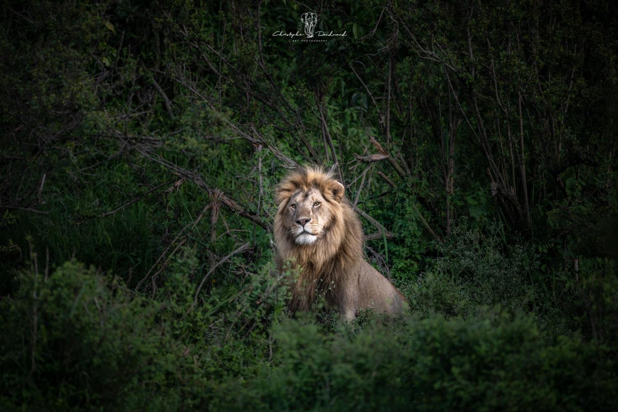 Mara Major Camp Maasai Mara Exterior foto